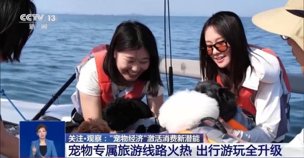 赢盈配资 @爱宠人士 出行游玩全升级 快来开启“携宠出行”新体验