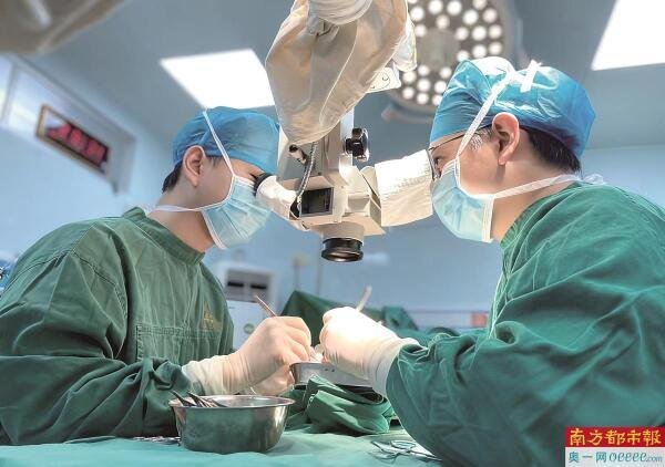 中承配资 新会辰和医院：专科联盟强根基，健康服务惠民生